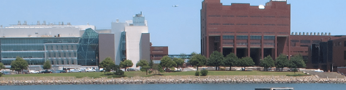 UMass Boston, Healey Library Survey