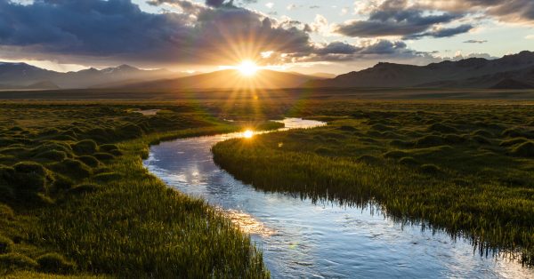 Environmental Consulting