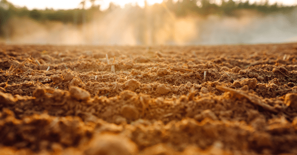 Thermal Remediation Technologies