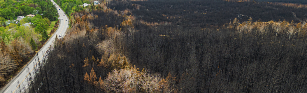 wildfire-response-risk-reduction-vertex