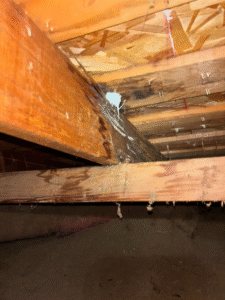 caulking and mold on rafters and decking
